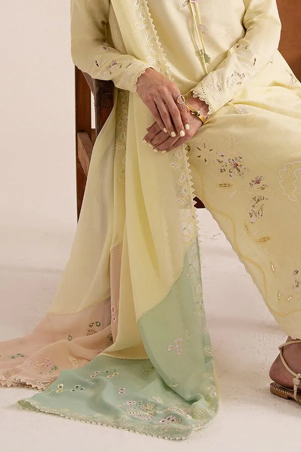 SUFFUSE BASICS RTW AMAAH