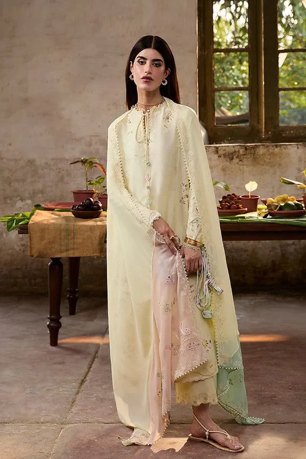 SUFFUSE BASICS RTW AMAAH