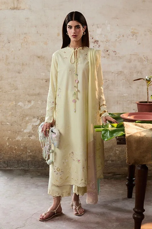 SUFFUSE BASICS RTW AMAAH
