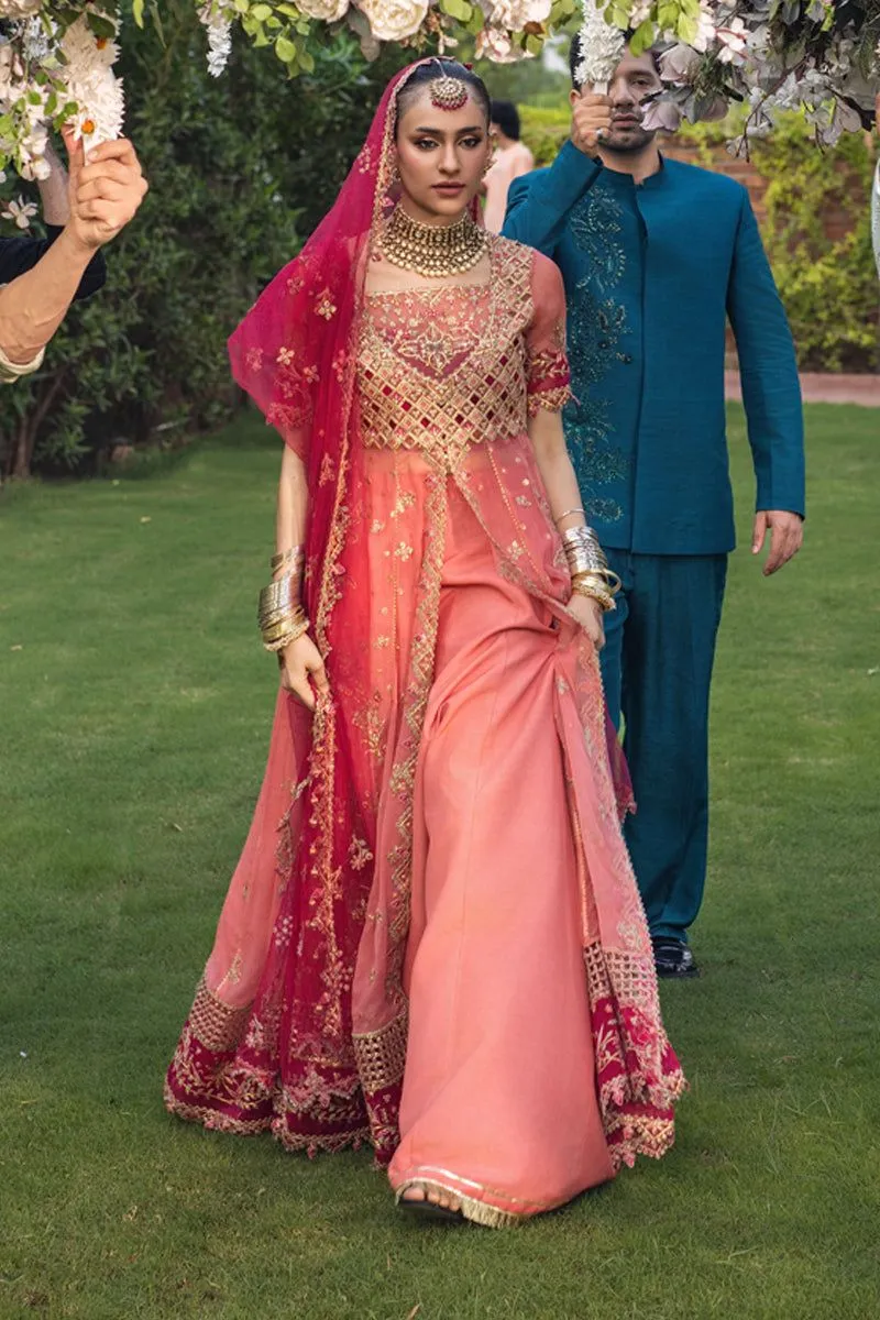 RANG RASIYA WEDDING FORMALS NARMEEN