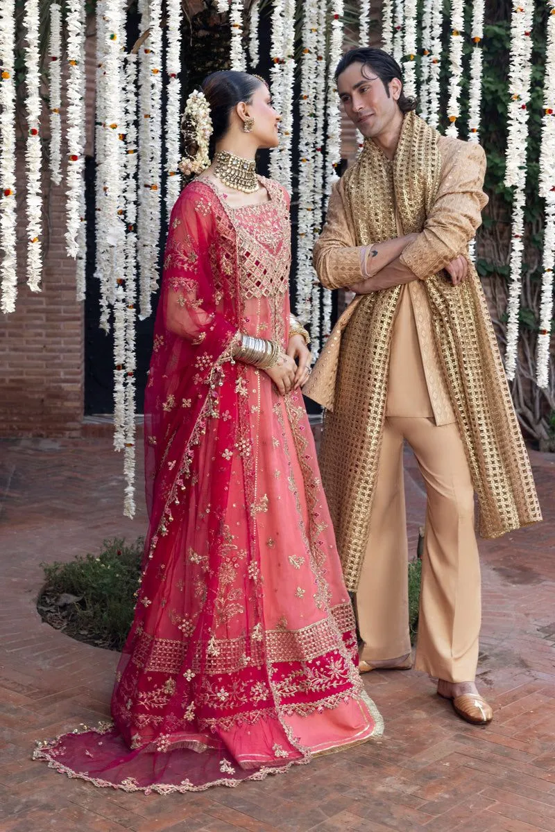 RANG RASIYA WEDDING FORMALS NARMEEN