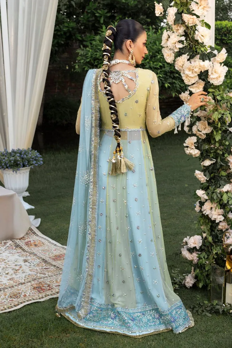 RANG RASIYA WEDDING FORMALS SAMARA