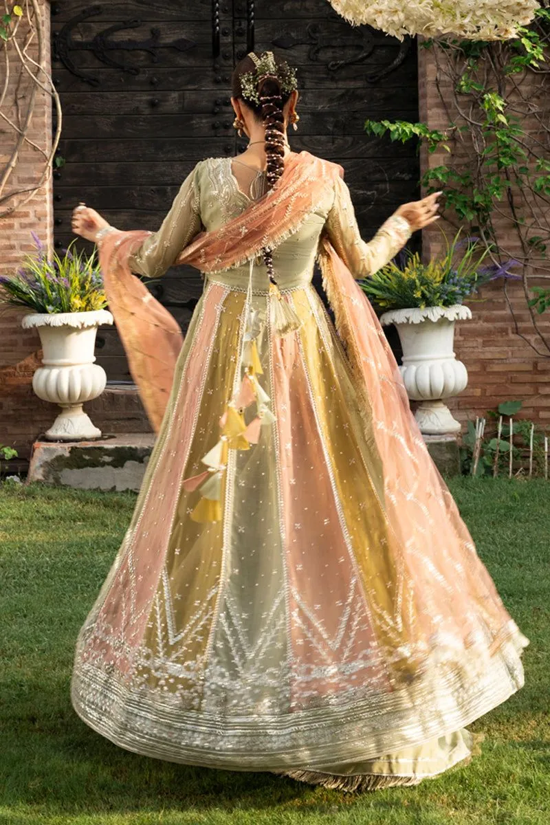 RANG RASIYA WEDDING FORMALS AMIL