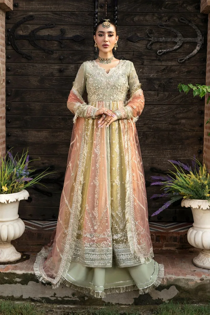 RANG RASIYA WEDDING FORMALS AMIL