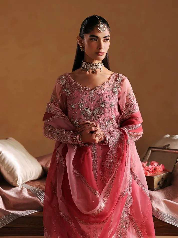 GULAAL wedding Areeman