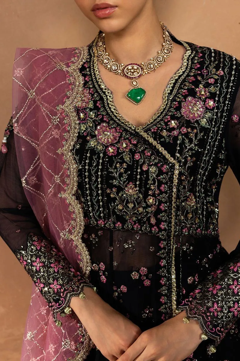 Rang Rasiya SOFIA
