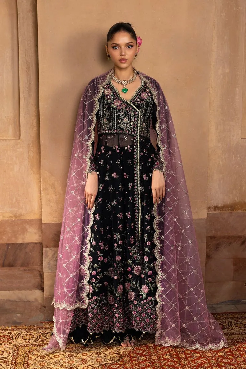 Rang Rasiya SOFIA