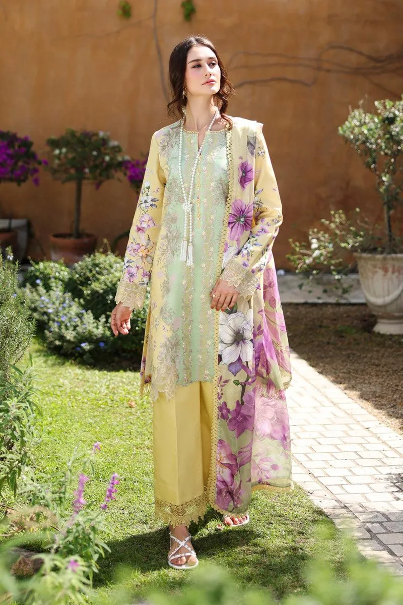 RANG RASIYA Home / LIFESTYLE HAZEL