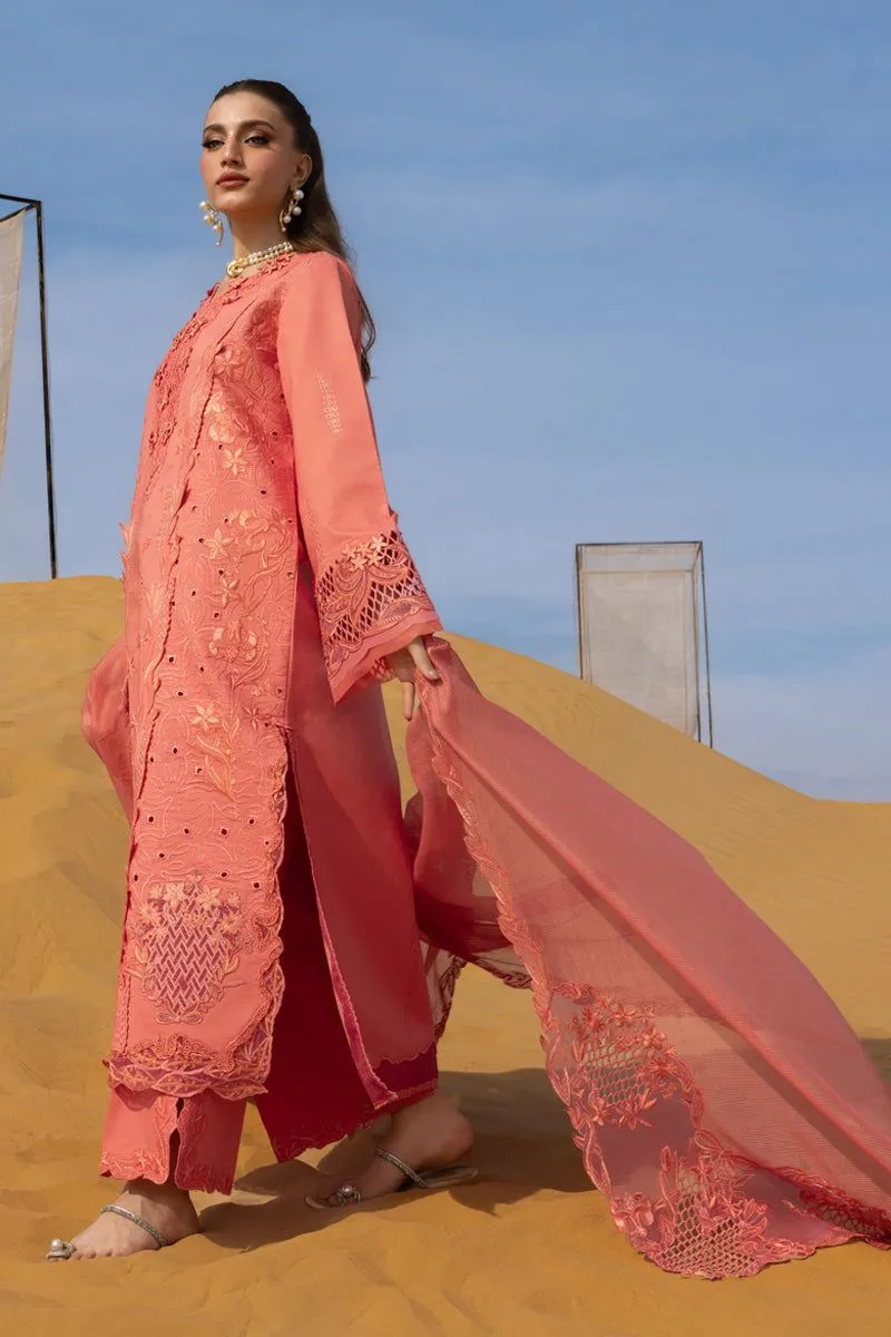 RANG RASIYA  PREMIUM SUMMER COLLECTION '26