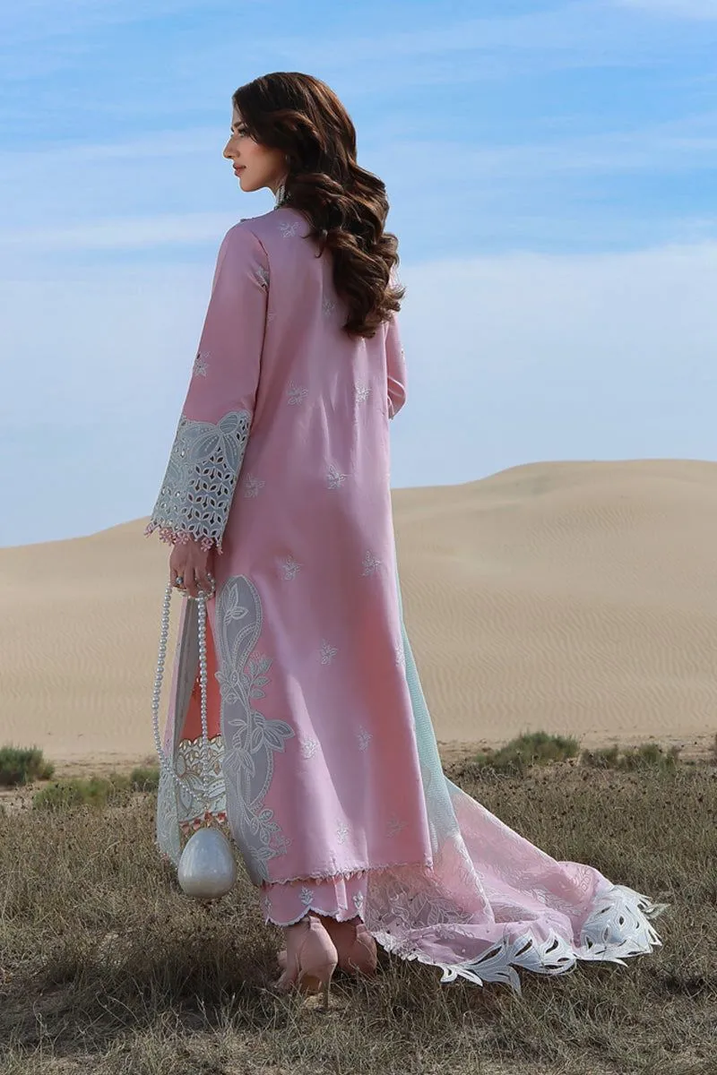 RANG RASIYA  PREMIUM SUMMER COLLECTION '26