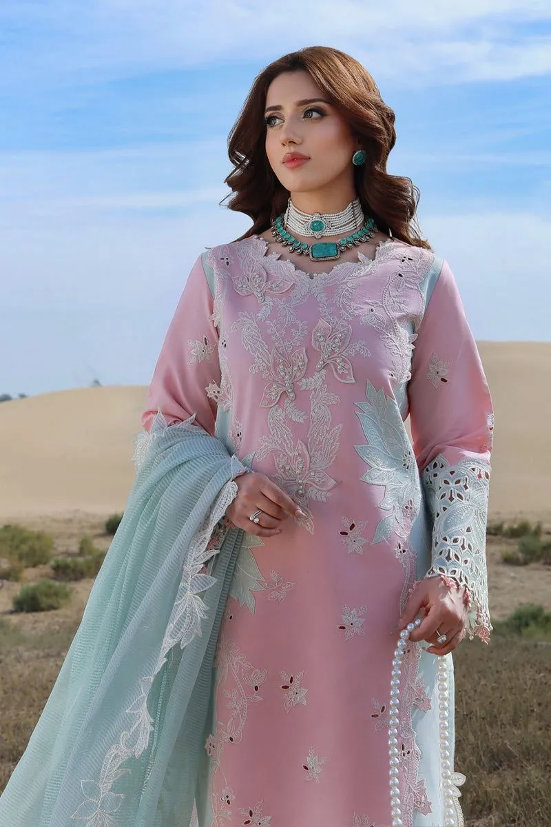 RANG RASIYA  PREMIUM SUMMER COLLECTION '26