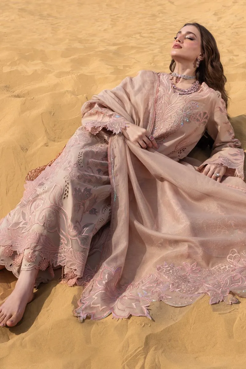 RANG RASIYA  PREMIUM SUMMER COLLECTION '26
