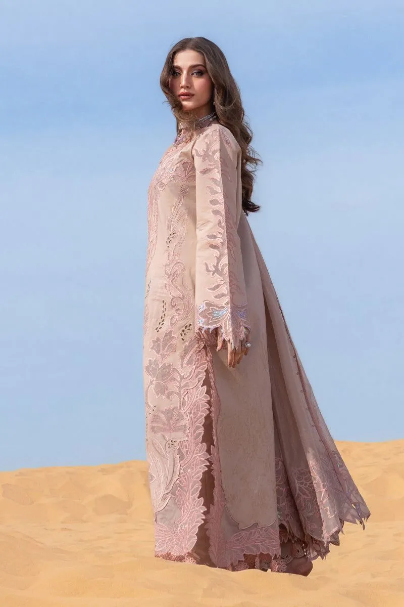 RANG RASIYA  PREMIUM SUMMER COLLECTION '26