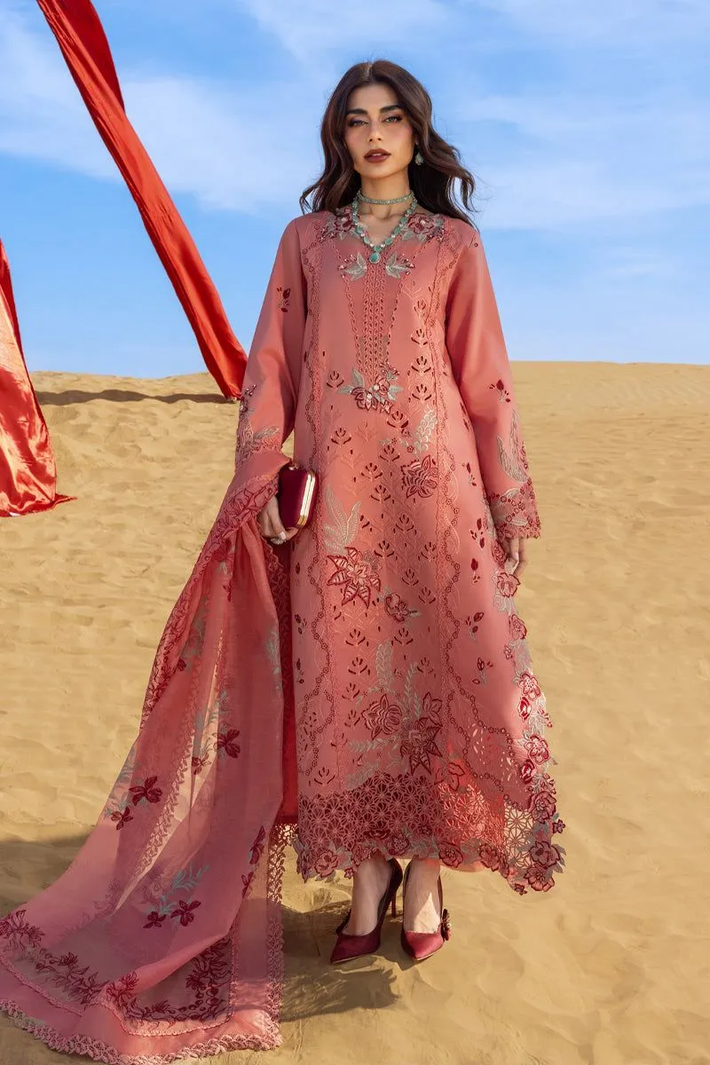 RANG RASIYA  PREMIUM SUMMER COLLECTION '26