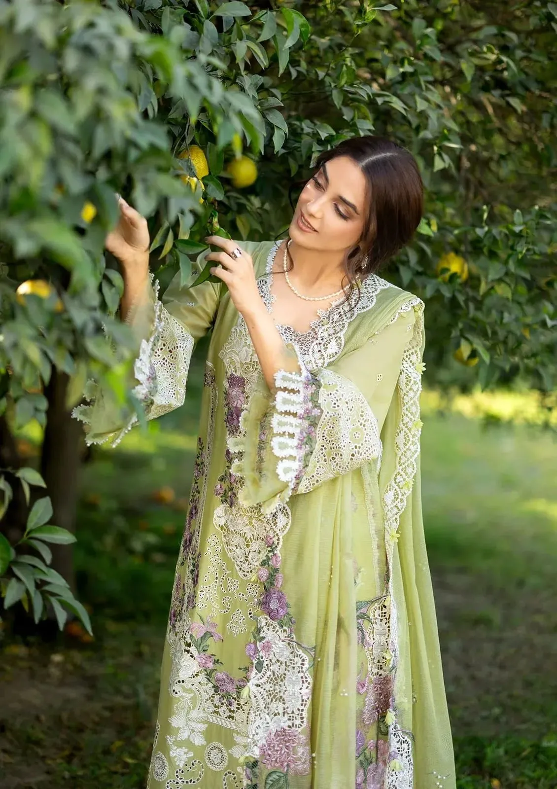 Elaf Premium luxury lawn