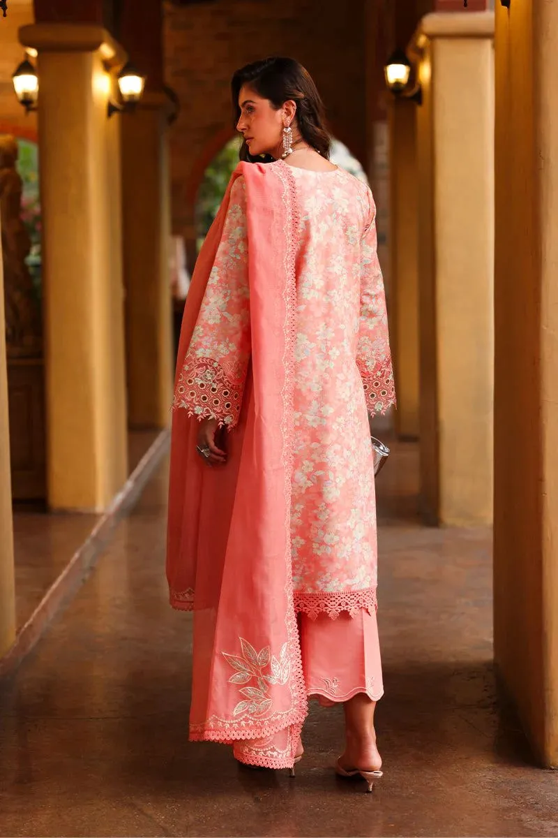 Rang Rasiya Florence  Summer