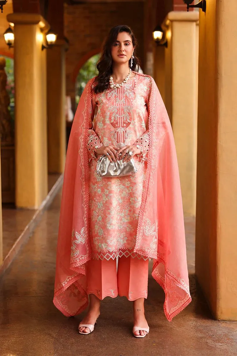 Rang Rasiya Florence  Summer