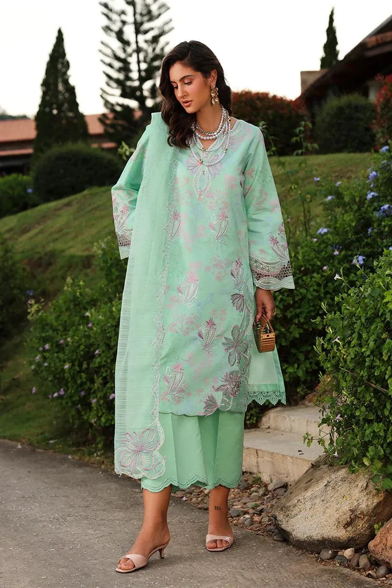 Rang Rasiya Florence Summer