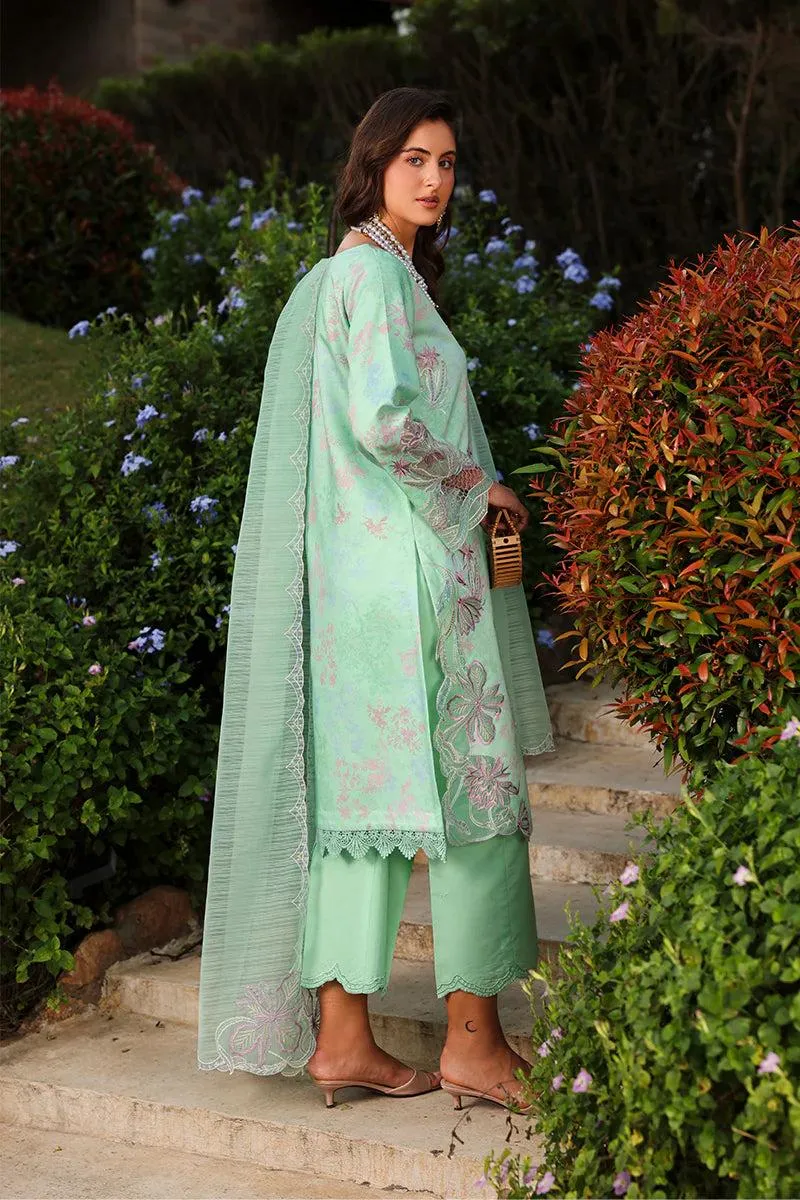 Rang Rasiya Florence Summer