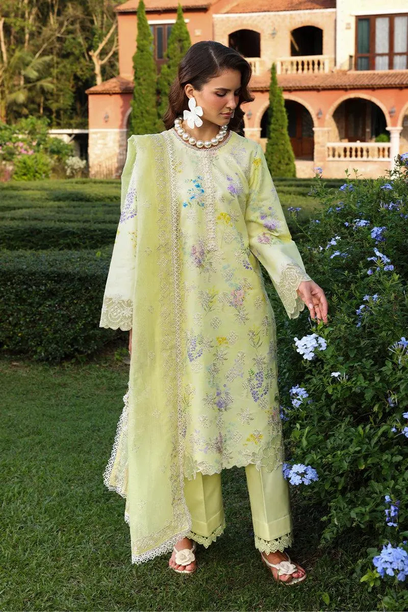 Rang Rasiya Florence Summer