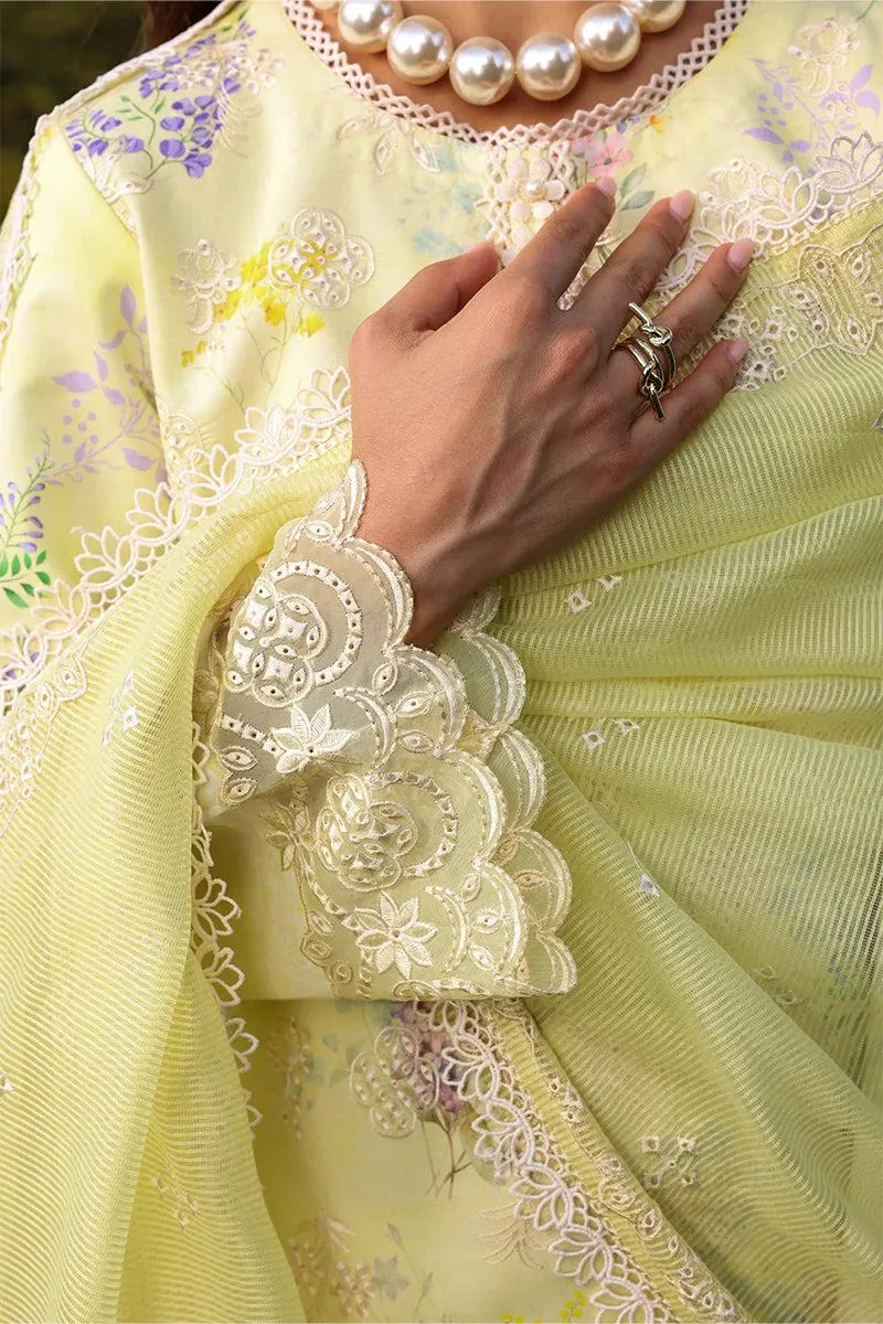 Rang Rasiya Florence Summer