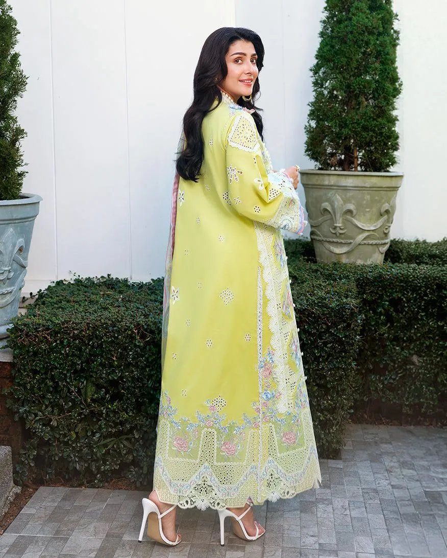 Mushq A MOI Luxury Lawn