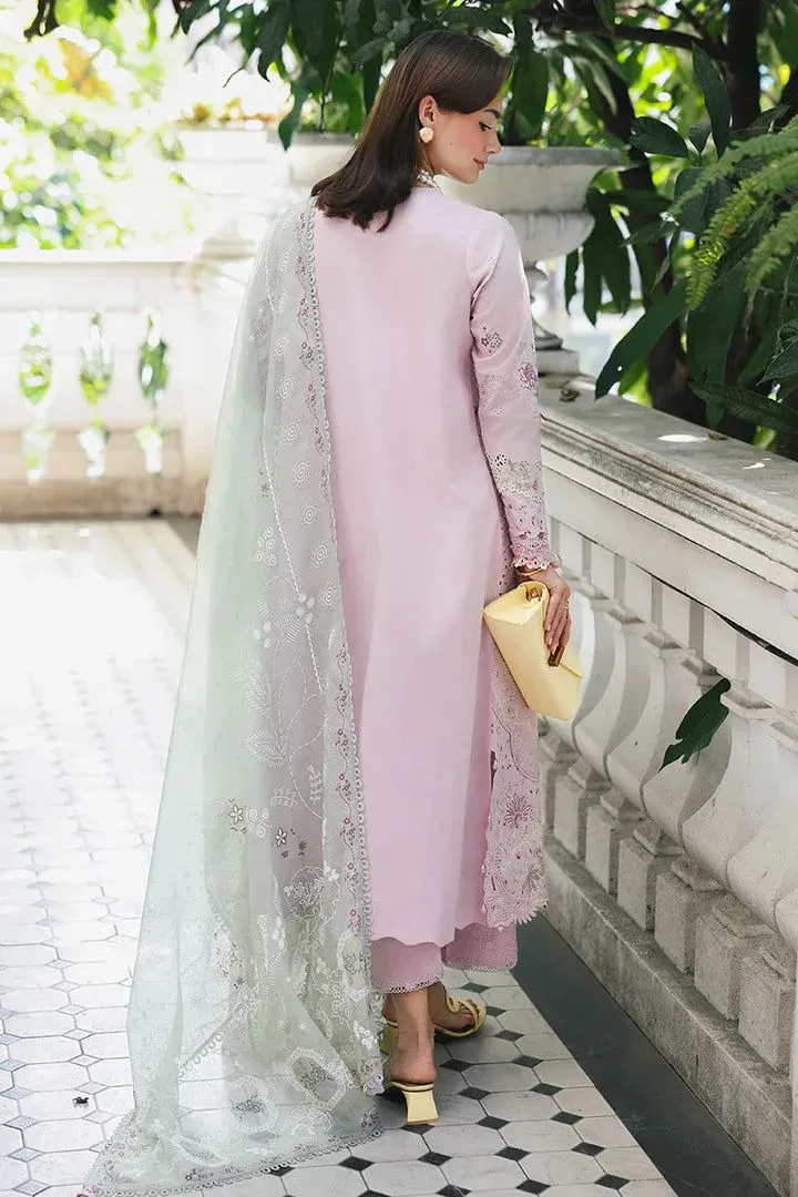 QALAMKAR QLINE LAWN