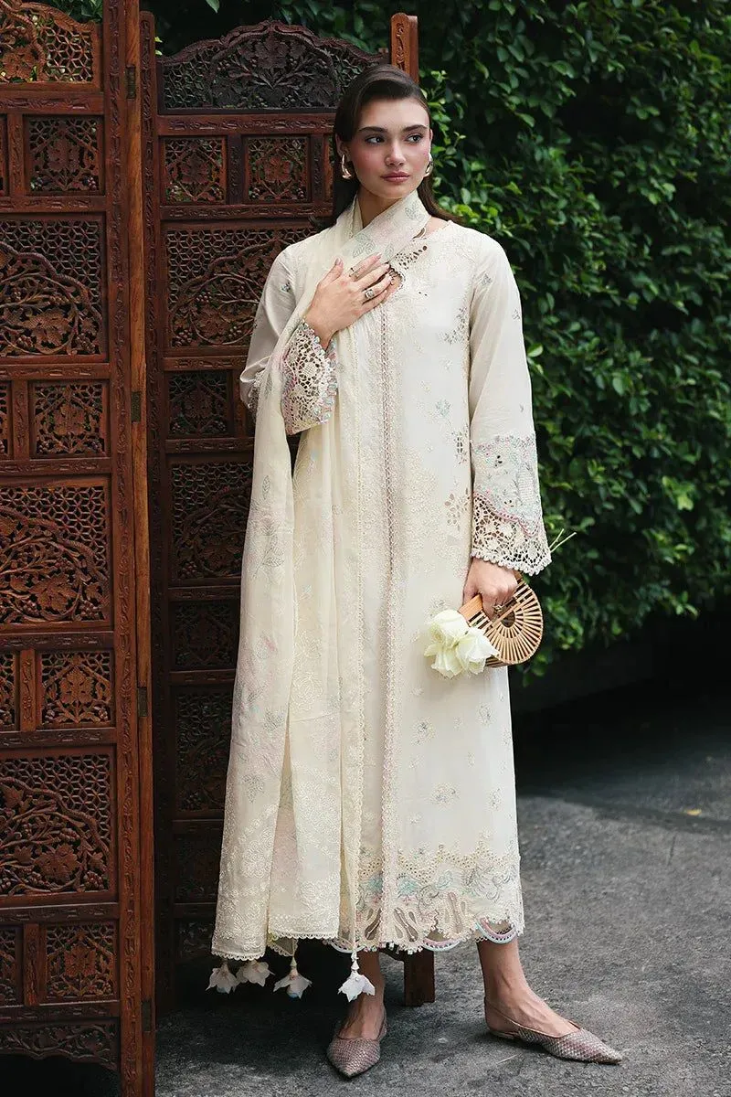 QALAMKAR QLINE LAWN