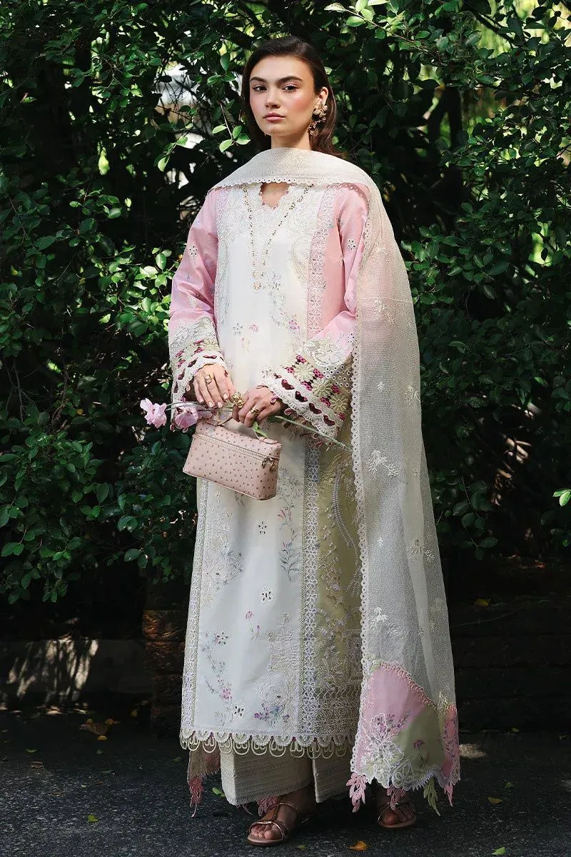 QALAMKAR QLINE LAWN