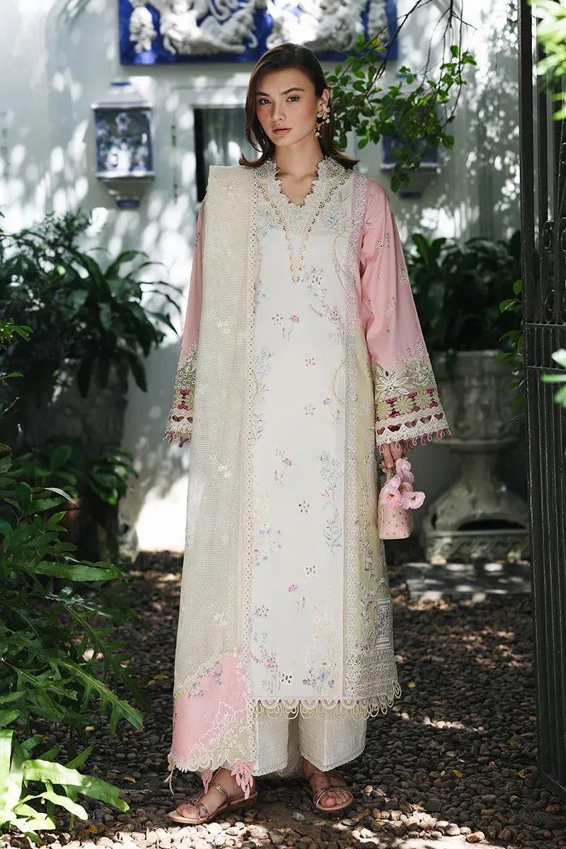 QALAMKAR QLINE LAWN