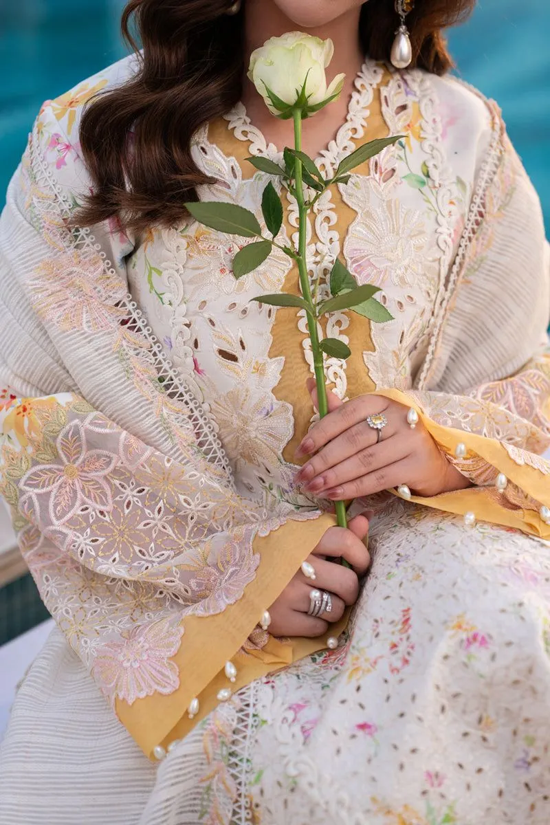 RANG RASIYA  CARNATION EID