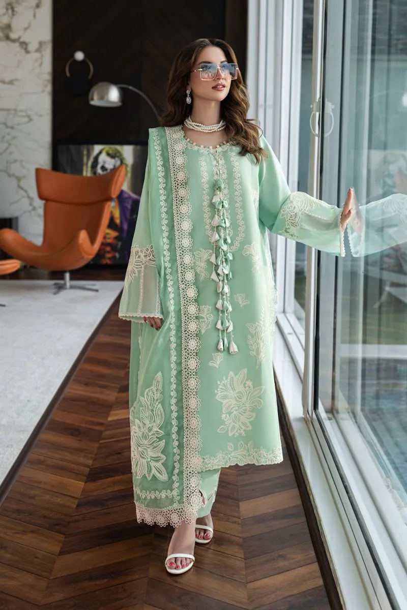 RANG RASIYA  CARNATION EID