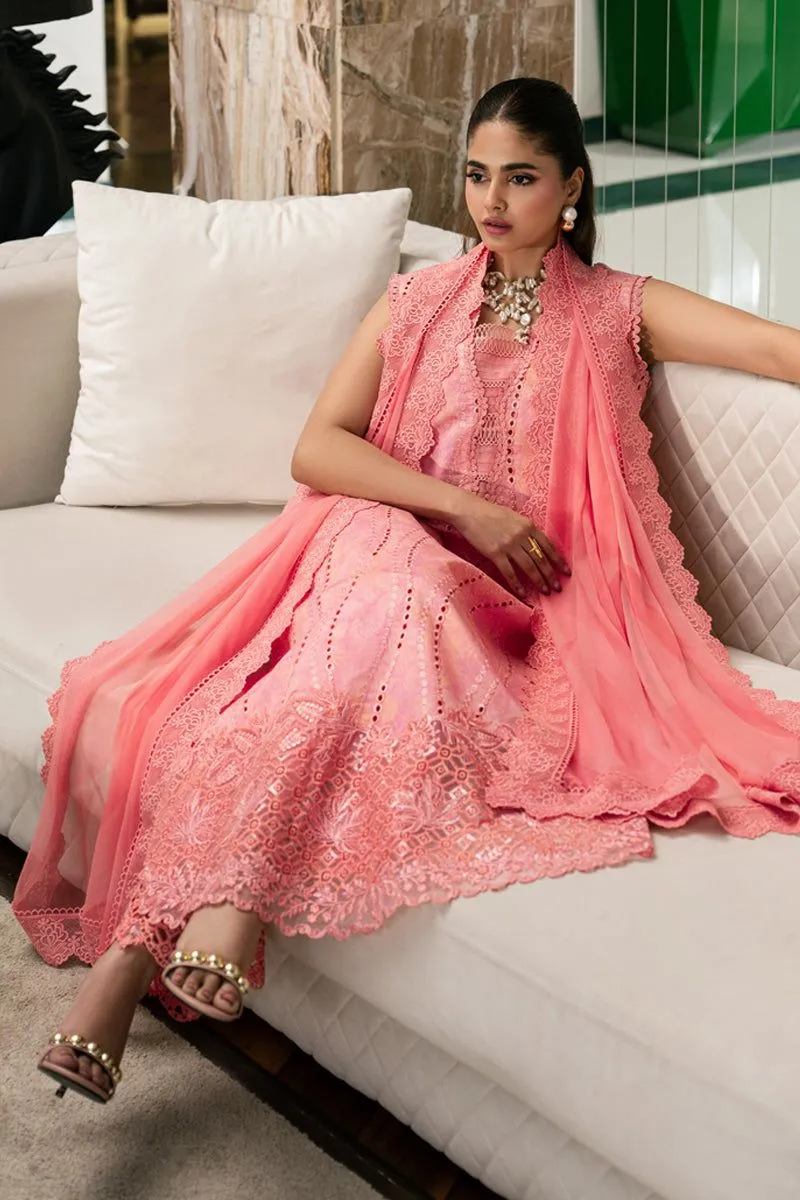 RANG RASIYA  CARNATION EID