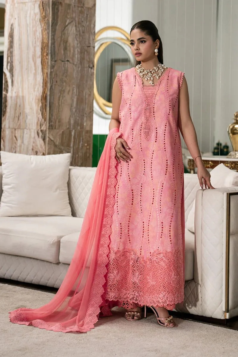 RANG RASIYA  CARNATION EID