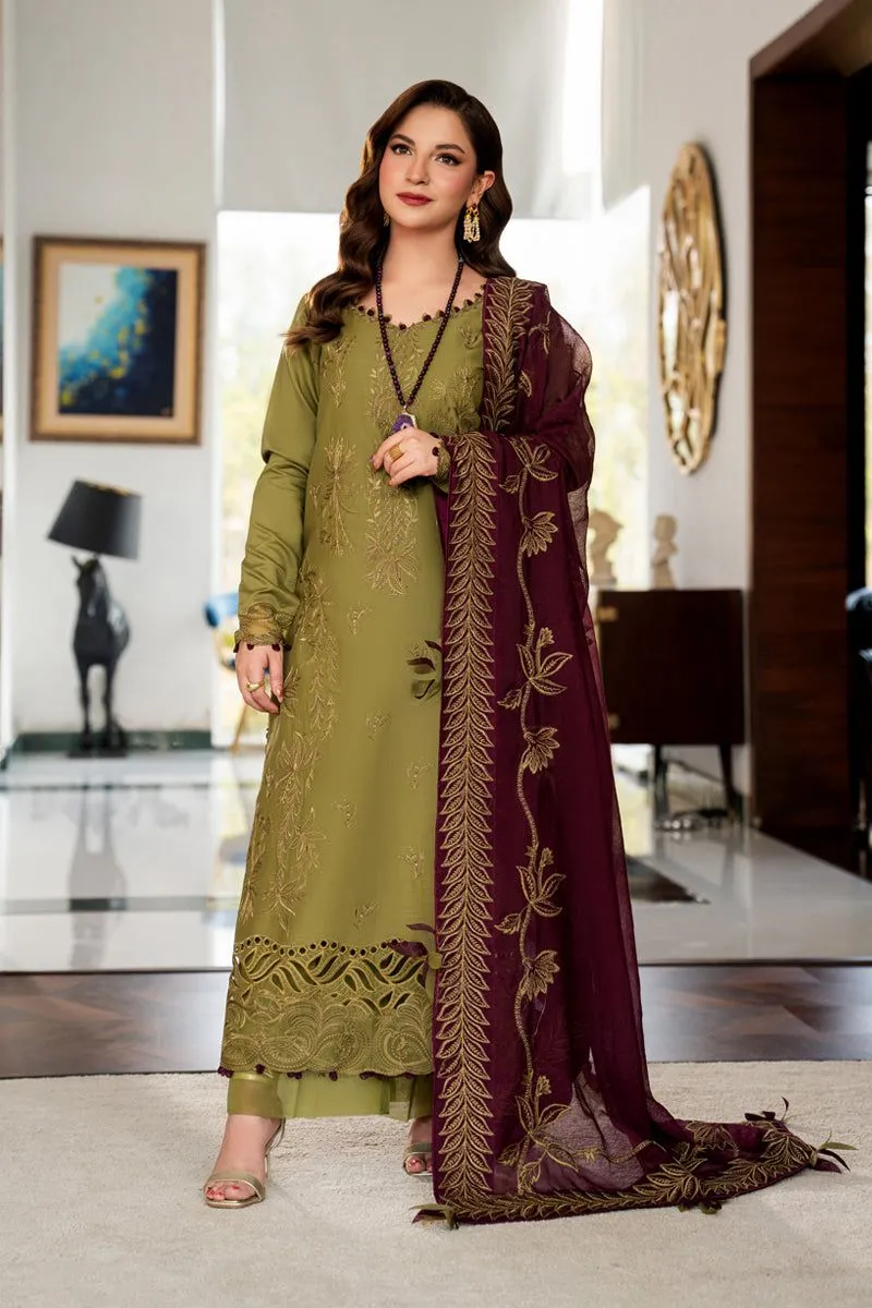 RANG RASIYA  CARNATION EID