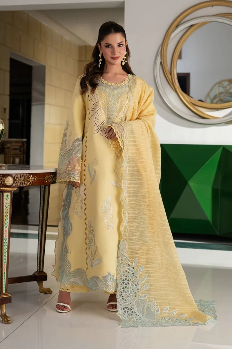 RANG RASIYA  CARNATION EID