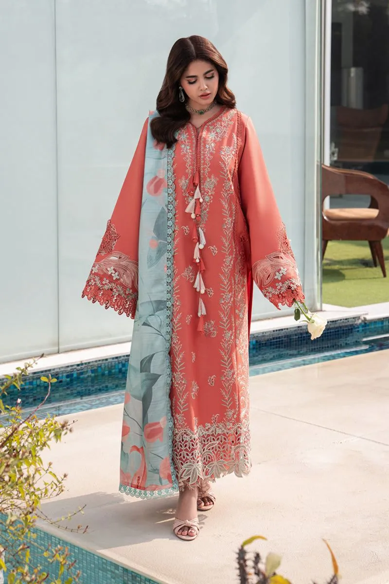 RANG RASIYA  CARNATION EID