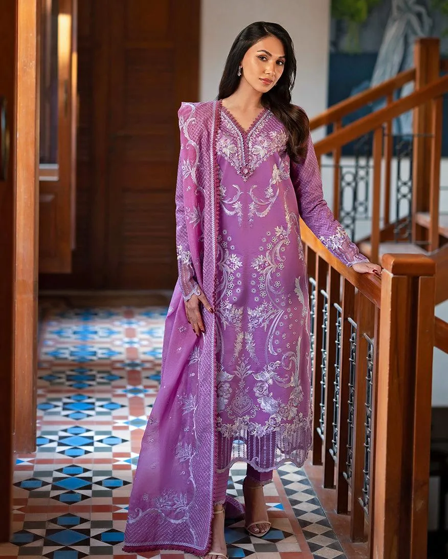 MUSHQ ASTORIA FESTIVE