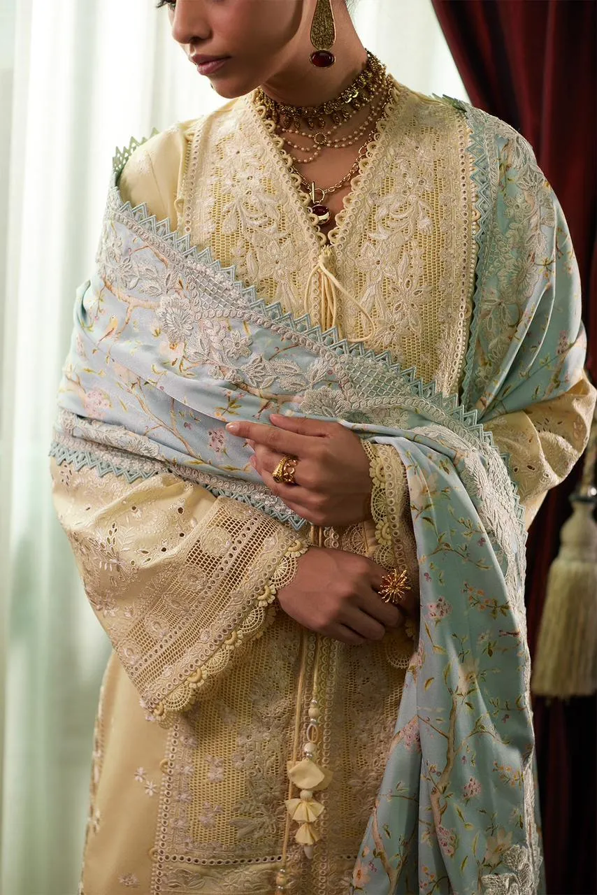 SAAD BIN SHAHZAD