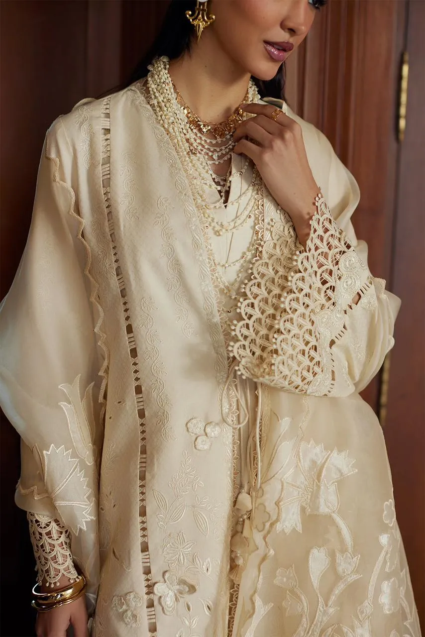 SAAD BIN SHAHZAD