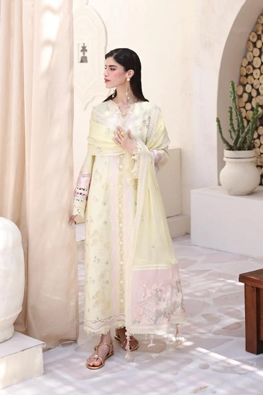 QALAMKAR RTW