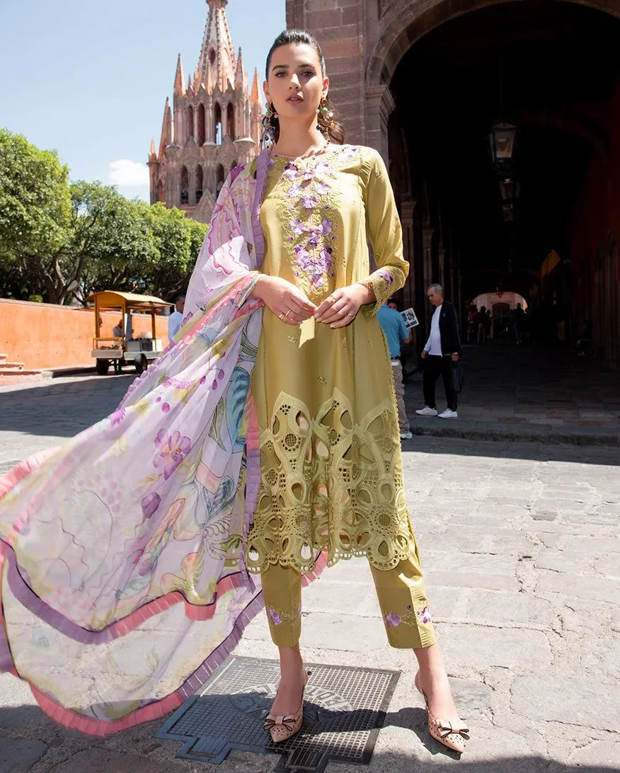 MUSHQ HEMLINE ARANZA