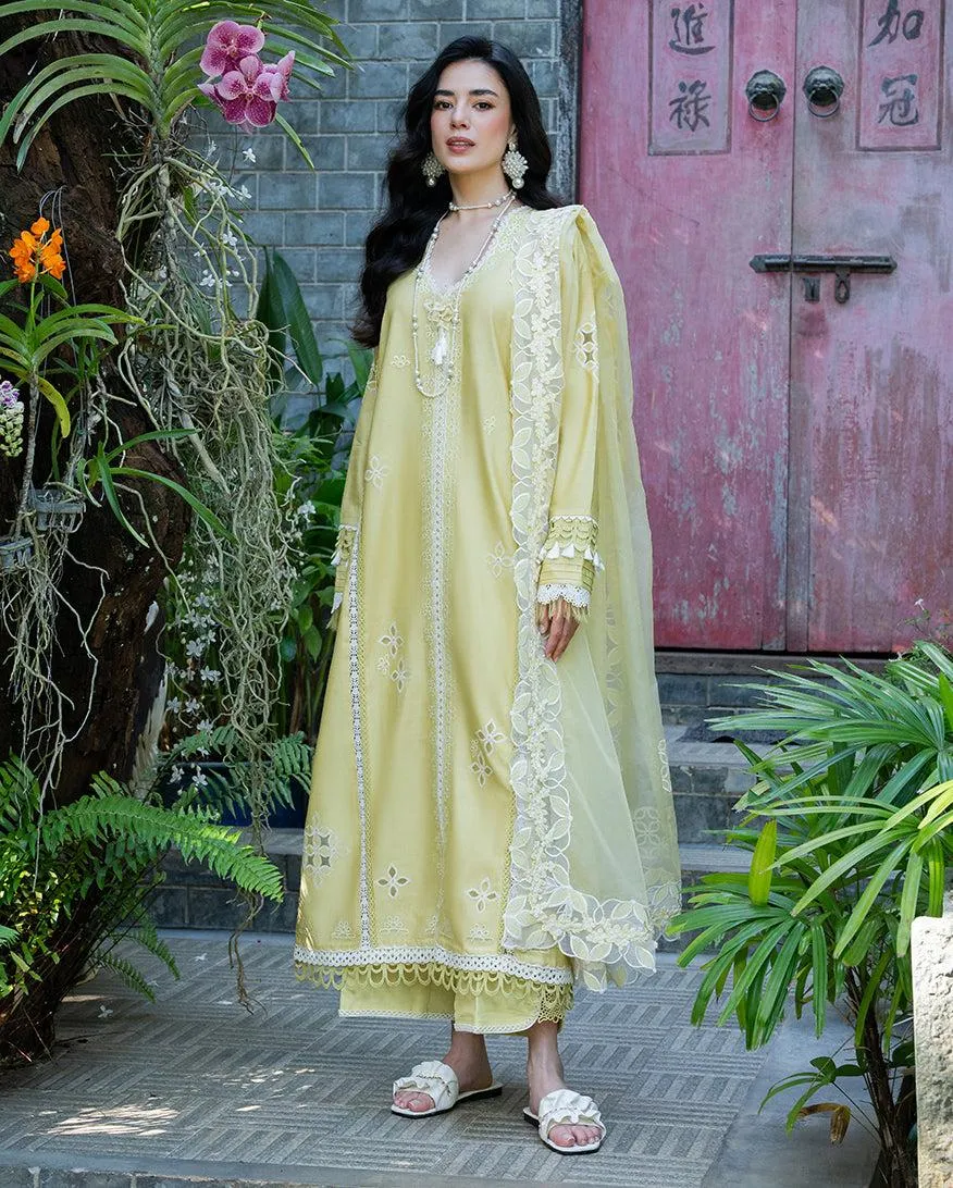 MUSHQ RTW