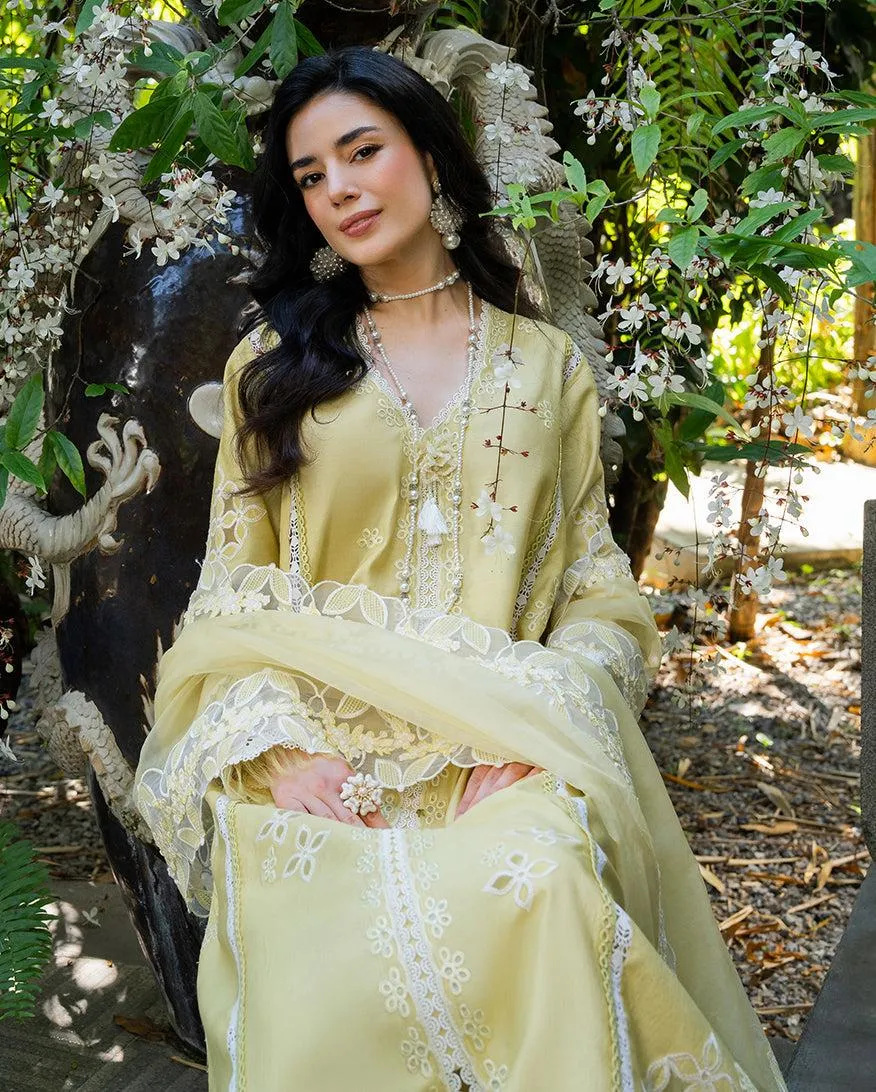 MUSHQ RTW