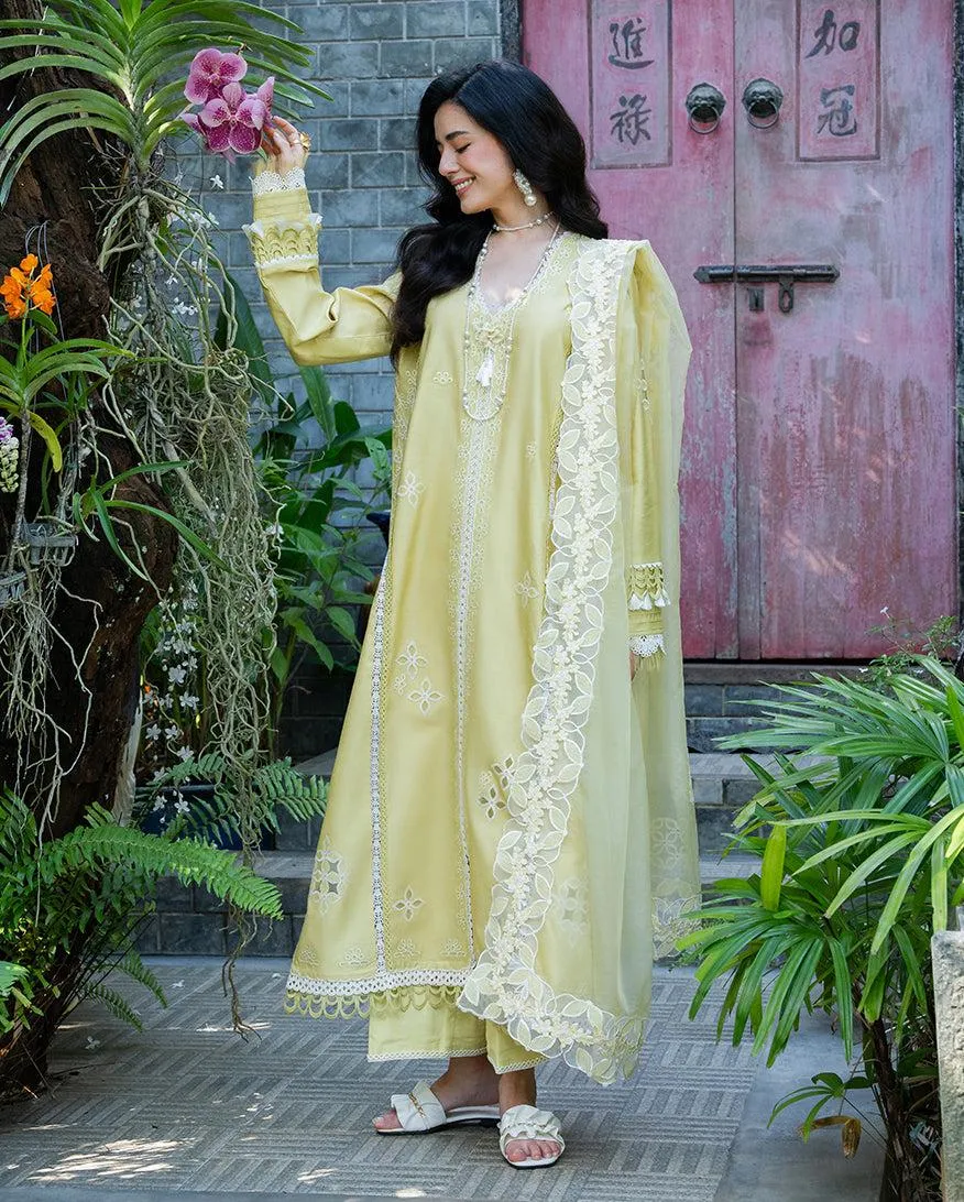 MUSHQ RTW