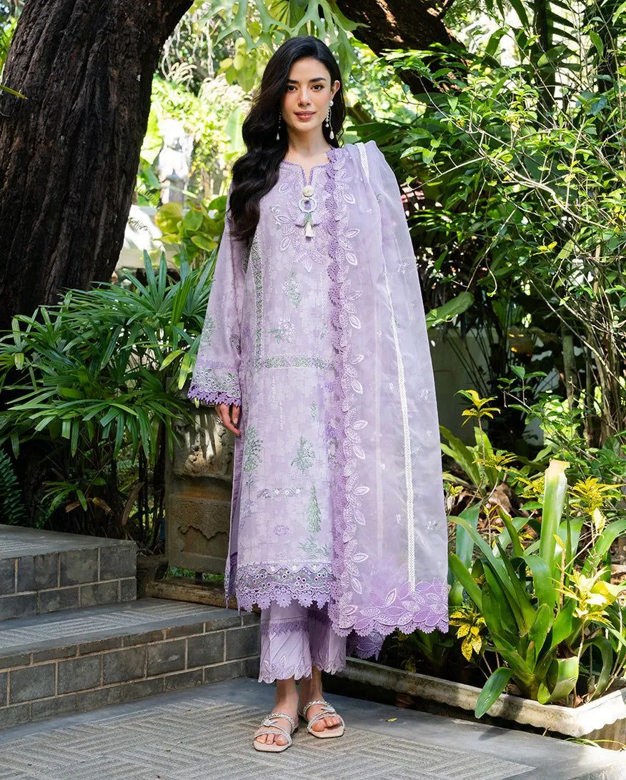 MUSHQ RTW