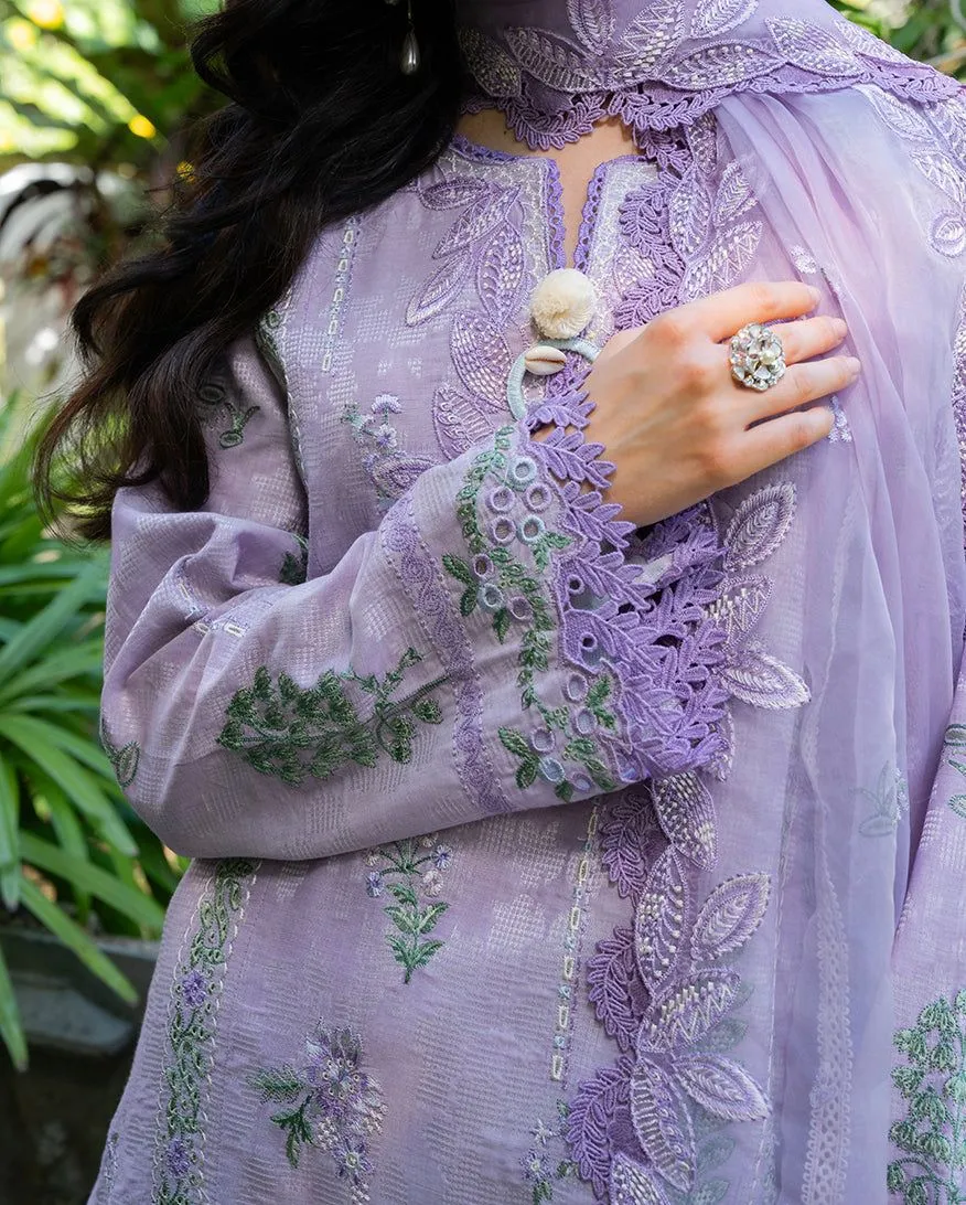 MUSHQ RTW