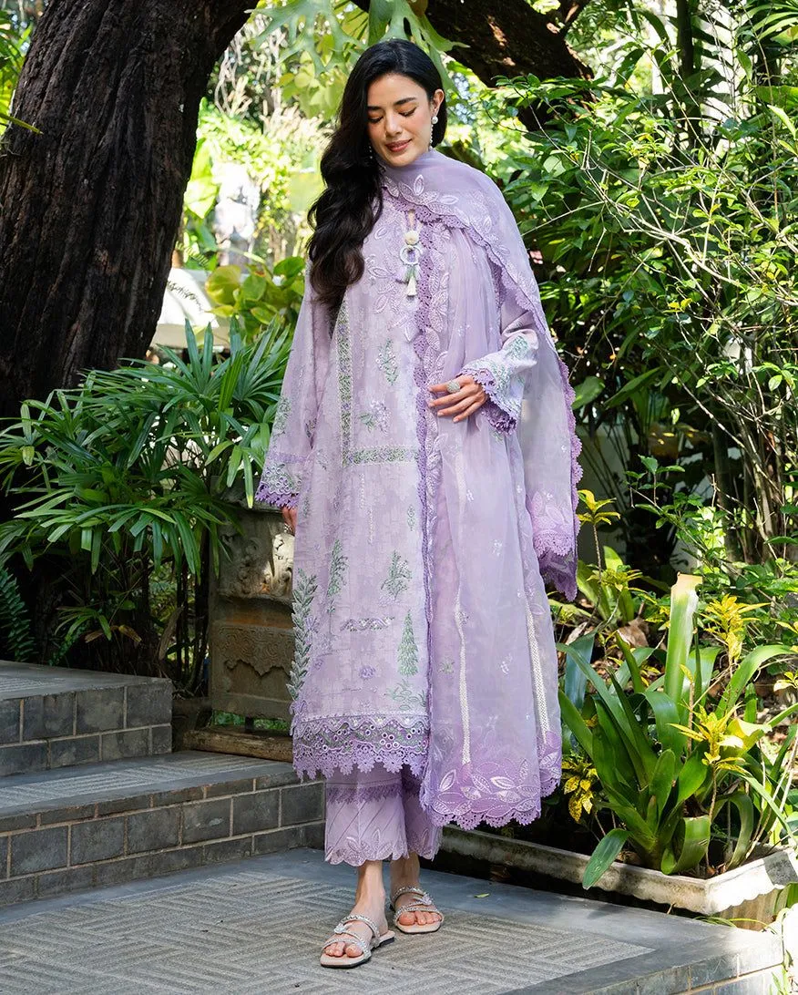 MUSHQ RTW
