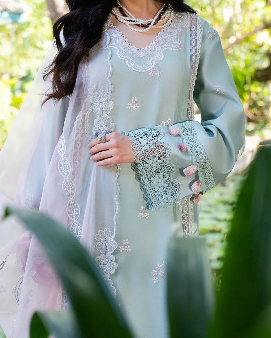 MUSHQ RTW