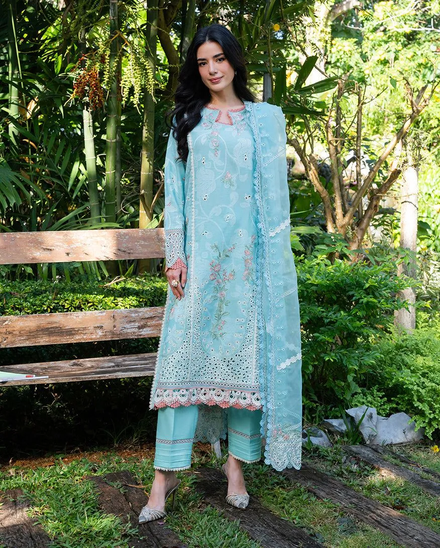 MUSHQ RTW